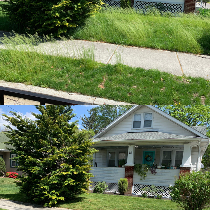 What a Difference !