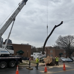 Crane Work