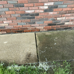 Before and after