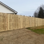 Privacy Fence