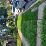 Yard Transformation