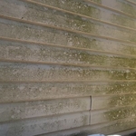Siding