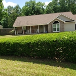 Hedges