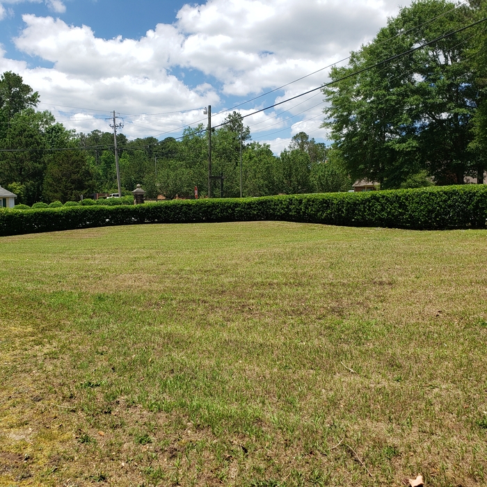 Lawn care