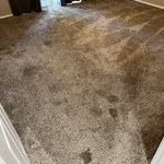 Carpet Cleaning