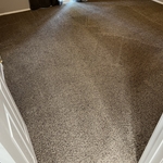 Carpet Cleaning
