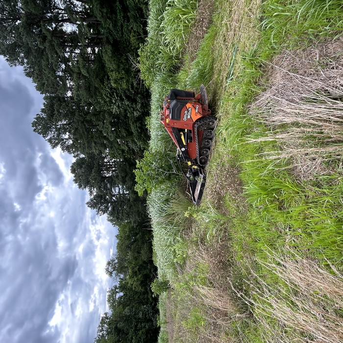 Lot clearing