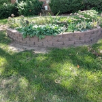 raised garden