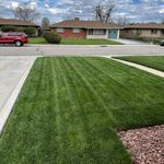 beautiful lawn