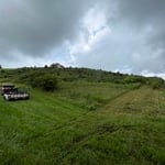 land clearing