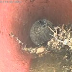 Lateral Sewer Blockage