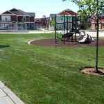 commercial sod/tree/sprinkler install