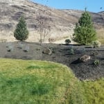residential backyard planting/sprinklers