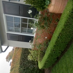 Landscape renovation