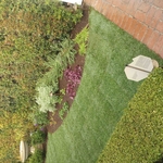 Landscape renovation