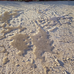 Residential driveway concrete sealing job