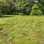 Mowing