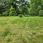Mowing