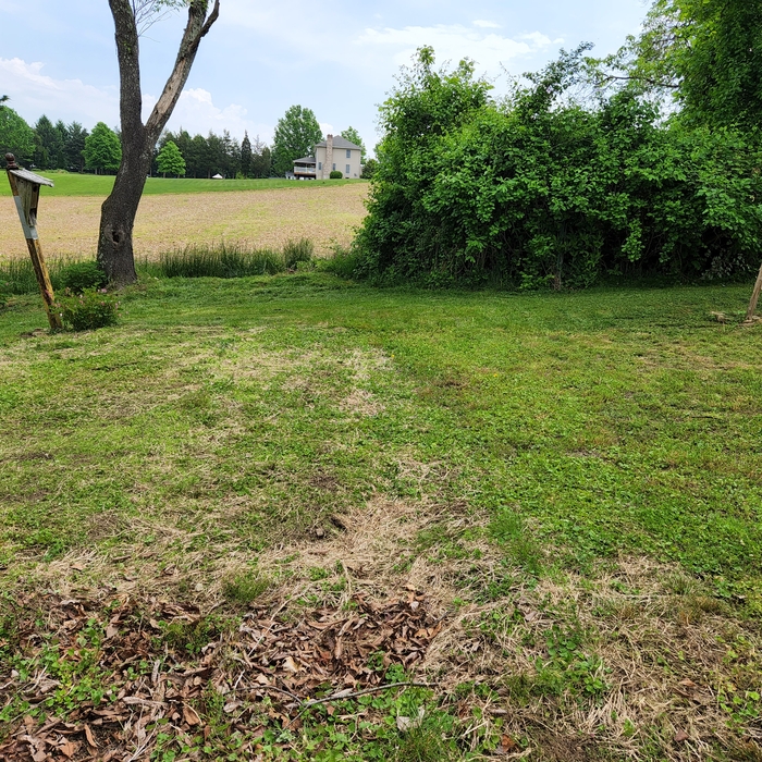 Mowing