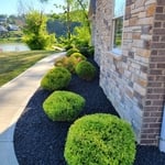 trimming and mulch