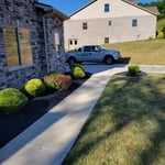 trimming and mulch