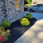 trimming and mulch