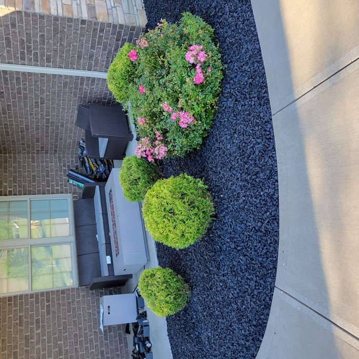 trimming and mulch