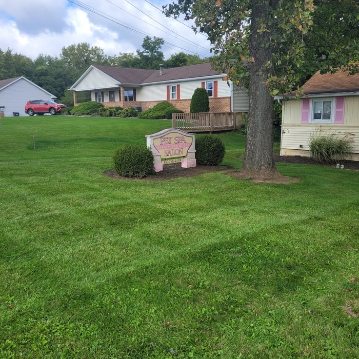 Mowing for 2022 season