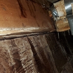 mold