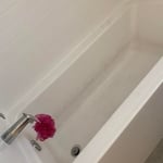 House cleaning #1