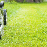 Lawn Mowing