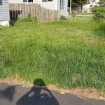 spring project