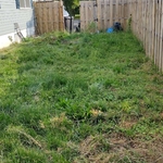 spring project