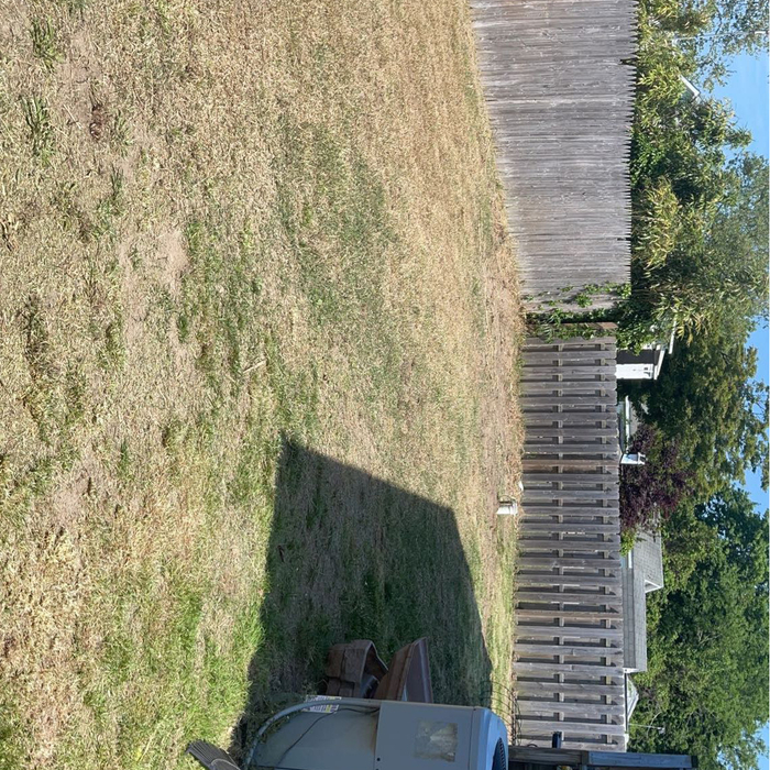 spring project