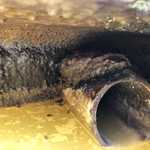 Blockage on Drain Field