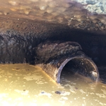 Blockage on Drain Field