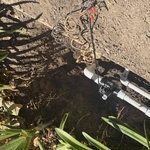 Sprinklers