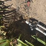 Sprinklers
