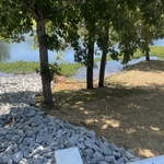 Finished seed/straw of disturbed area