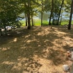 Seeded/straw of disturbed area
