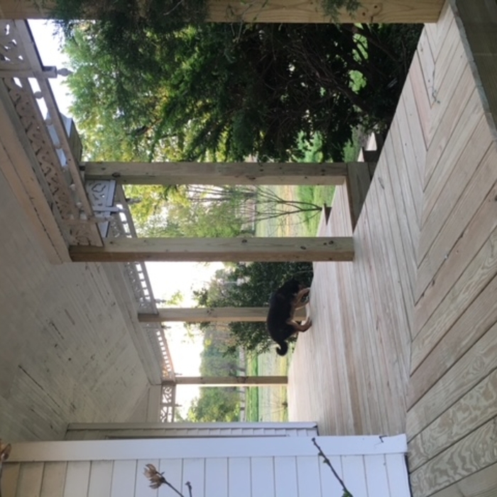 porch