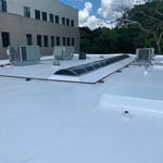 Roof Sealant