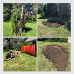 2 stumps before and after