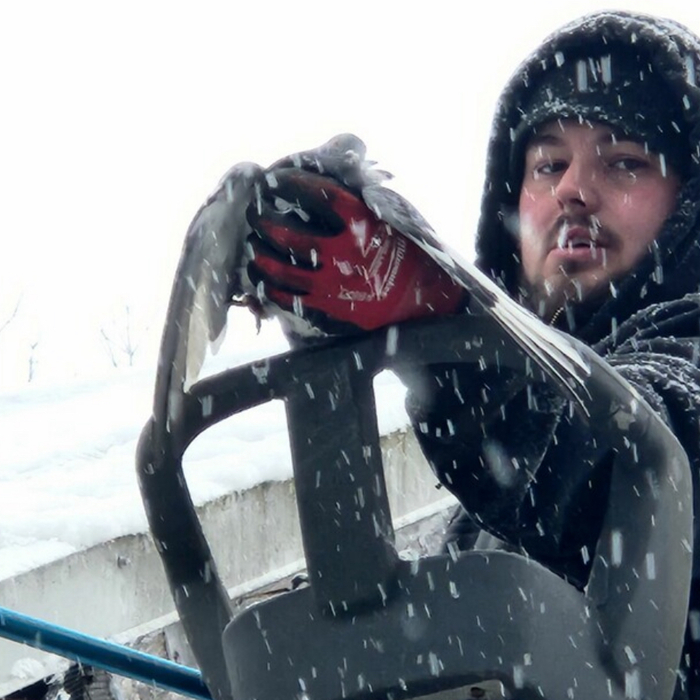 Pigeon Rescue