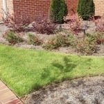 Commercial Lawn Care