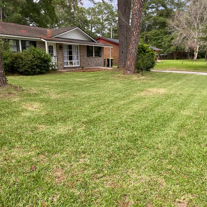Front Yard