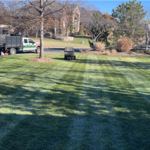 Quality Lawn Maintenance