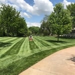 Quality Lawn Maintenance