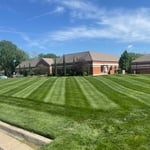 Quality Lawn Maintenance