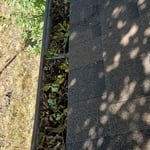 Gutter junk